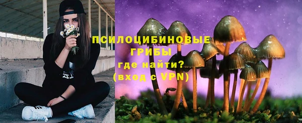ALPHA PVP Баксан